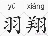 羽翔的拼音
