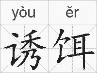 诱饵的拼音