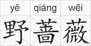 野蔷薇是什么意思 拼音读音 词语解释 野蔷薇的英文翻译 近义词 反义词 野蔷薇的相关成语词语诗词名人明星 野蔷薇是什么意思 拼音读音 词语解释 野蔷薇的英文翻译 近义词 反义词 野蔷薇的相关成语词语诗词名人明星