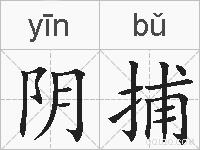 阴捕的拼音