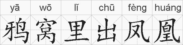鸦窝里出凤凰是什么意思 拼音读音 词语解释 鸦窝里出凤凰的英文翻译 近义词 反义词 鸦窝里出凤凰的相关成语词语诗词名人明星