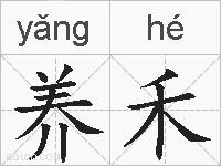 养禾的拼音