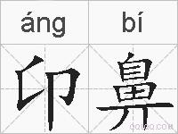 卬鼻的拼音