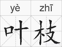 叶枝的拼音