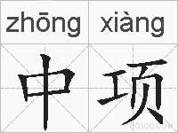 中项的拼音