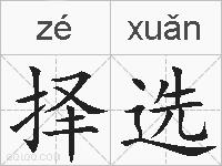 择选的拼音