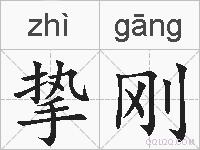 挚刚的拼音