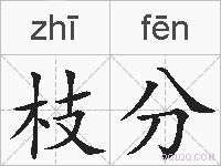 枝分的拼音