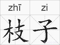 枝子的拼音