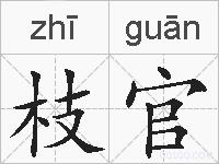枝官的拼音