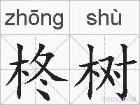 柊树的拼音