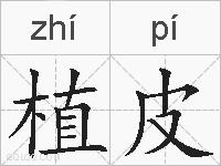 植皮的拼音