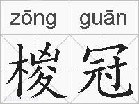 椶冠的拼音