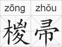 椶帚的拼音