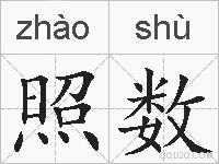 照数的拼音