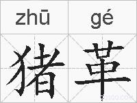 猪革的拼音