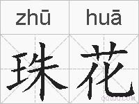 珠花是什么意思 拼音读音 词语解释 珠花的英文翻译 近义词 反义词 珠花的相关成语词语诗词名人明星