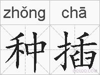 种插的拼音