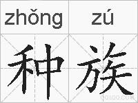 种族的拼音