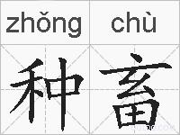 种畜的拼音