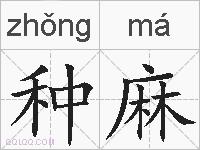 种麻的拼音