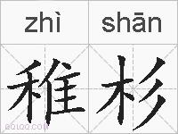 稚杉的拼音