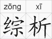 综析的拼音