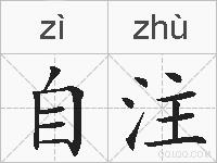 自注的拼音
