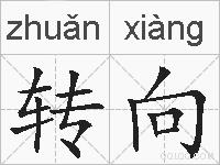转向的拼音