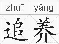 追养的拼音