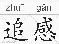 追感的拼音