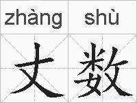 丈数的拼音