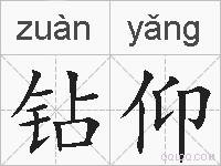 钻仰的拼音