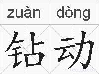 钻动的拼音