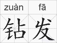 钻发的拼音