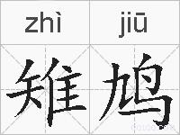 雉鸠的拼音
