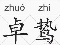 卓鸷的拼音