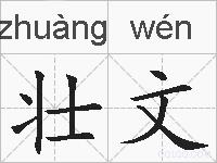 壮文的拼音