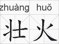 壮火的拼音